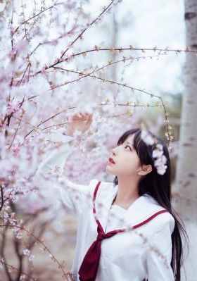 欧美斑马电影街_高清在线观看电视